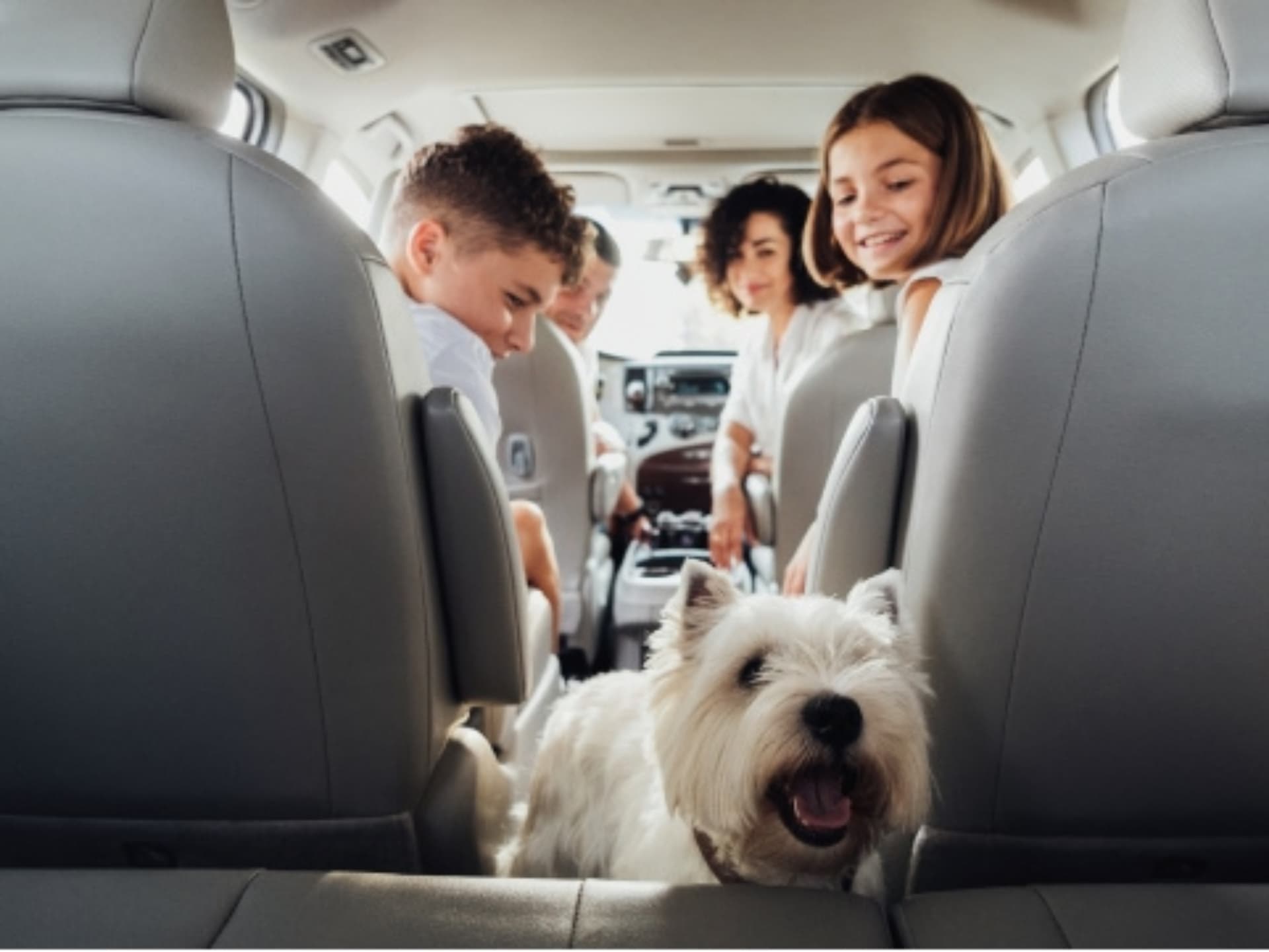 Familie mit Hund im Auto